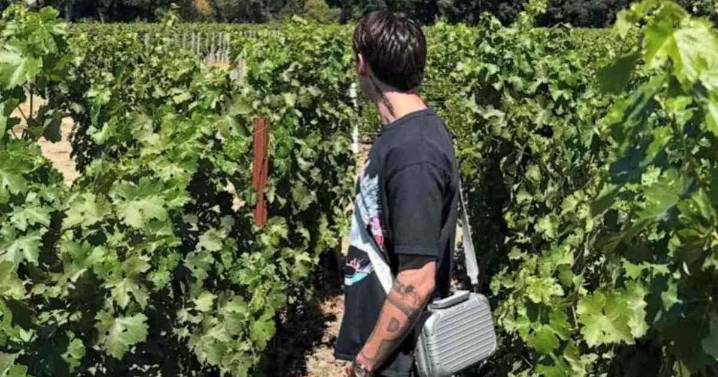 Este es el precio de la bolsa de Peso Pluma de RIMOWA que todos quieren