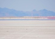 Letter: Call me Nostradamus: Given current realities, here’s what’s bound to happen to the Great Salt Lake and life in Utah