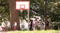 Beecher Terrace's legacy honored with music and games