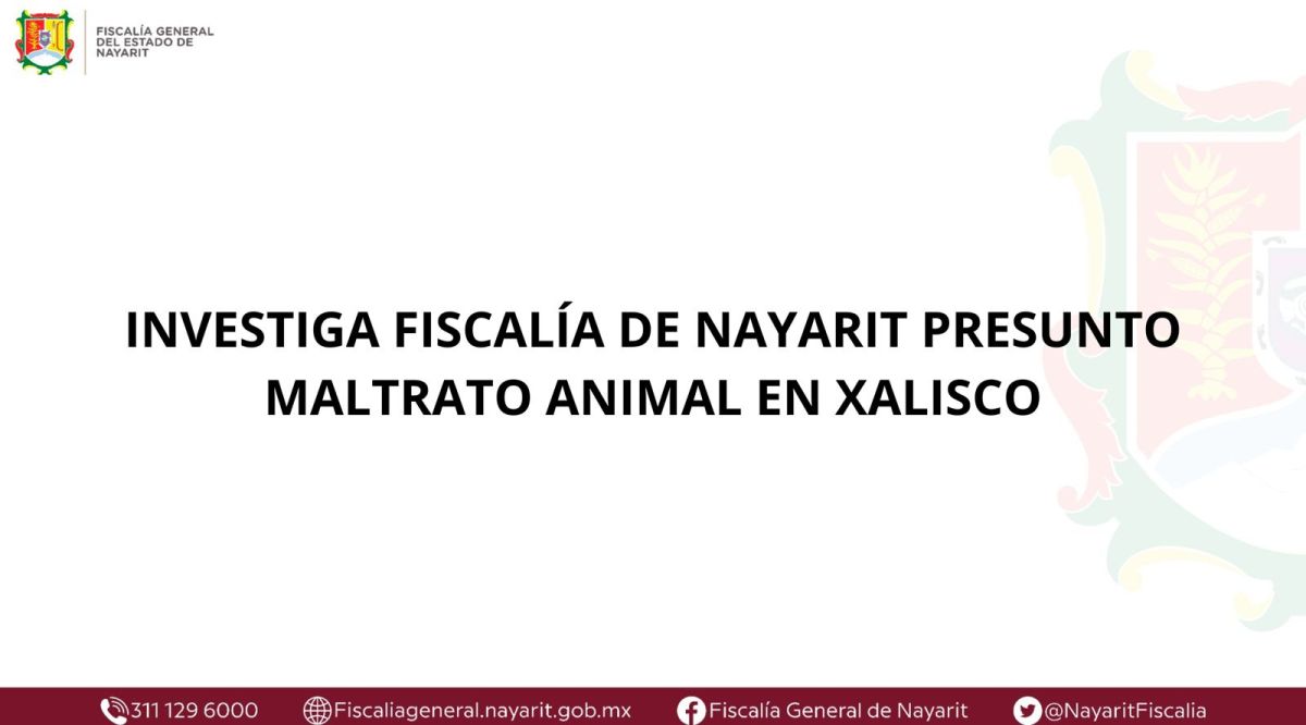 INVESTIGA FISCALÍA DE NAYARIT PRESUNTO MALTRATO ANIMAL