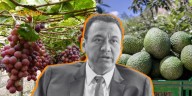 “No es motivo de preocupación”: Ángel Manero resta importancia a investigación de cadmio en palta y suspensión de uva peruana en Ecuador