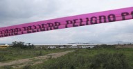 Thermal devices, dead pigs help to find Mexico's missing