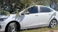 San Antonio de Areco: encontraron muertos a un hombre y una mujer de un auto