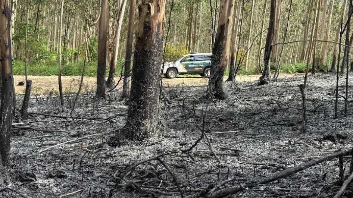 Investigan al presunto autor de un incendio forestal en el municipio de Lousame en A Coruña