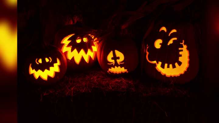 Sip, savor and stroll into autumn at the Racine Zoo