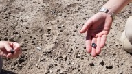Descubren una nueva especie de ancestro humano arcaico