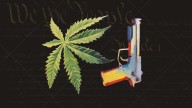 The 10th Circuit Agrees That Prosecuting Cannabis Consumers for Gun Possession May Be Unconstitutional
