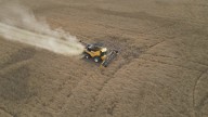Tariffs dampen harvest season for Canadian farmers