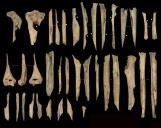 Cannibals ‘cooked & ate’ humans 6,000-years-ago in bizarre rituals as human bones found riddled with bite marks