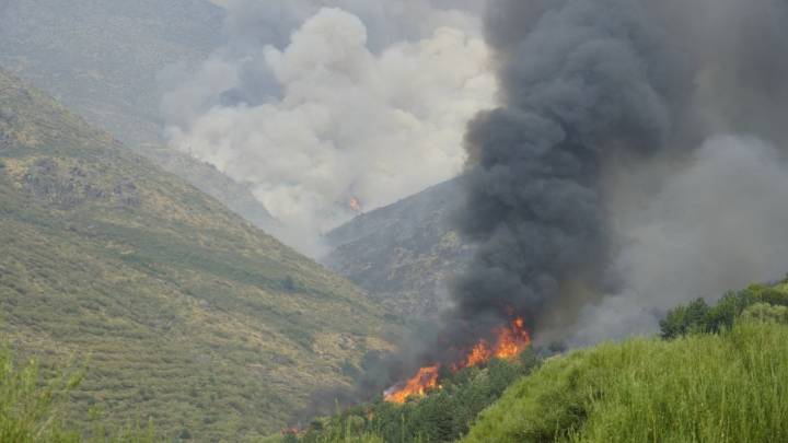 La Fiscalía investiga si los municipios más afectados por los incendios cuentan con planes de prevención