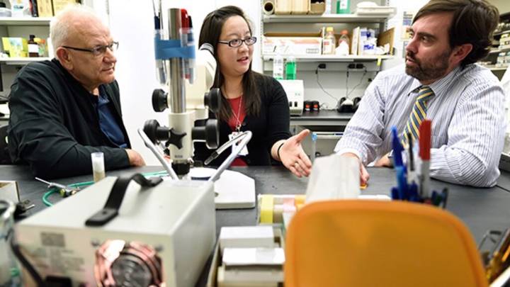 Harvard funding cuts threaten program for kids with rare, undiagnosed diseases