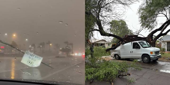 Monsoon causes Sky Harbor damage, downed trees in Tempe, flood concerns around Yuma