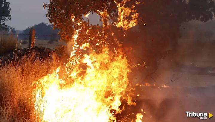 El incendio que arrasa los récords en Salamanca: Del drama de Monsagro al desastre de Cipérez