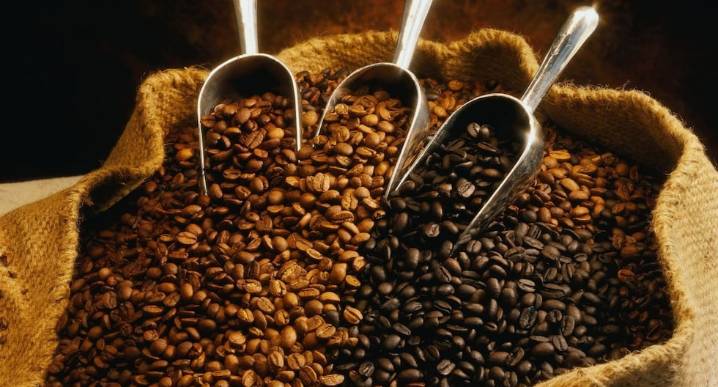 El café peruano busca conquistar más tazas: ¿hacia dónde apuntan las cafeterías del país?
