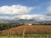 Last: Sicily’s Mount Etna: where fire and wine meet