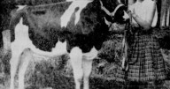 Ike wouldn’t take her calf