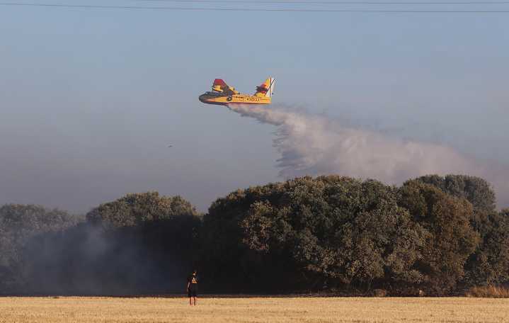 Declarado el nivel 2 de un incendio forestal registrado en la localidad abulense de San Bartolomé de Pinares
