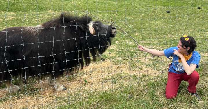 Locals Day coming to Large Animal Research Station