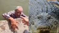 FUERTE VIDEO: 'Abuelito' desaparece en San Luis; lo encuentran a punto de ser DEVORADO por cocodrilos en Tamaulipas