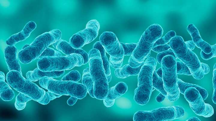 Is Legionnaires' disease in NC? What residents should…