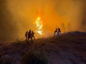 El trabajador de la Junta fallecido ayer era natural de Orense pero vivía en Soria desde hace más de 30 años
