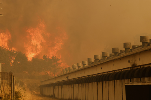 España, Grecia y Portugal combaten incendios al tiempo que la UE refuerza ayuda transfronteriza