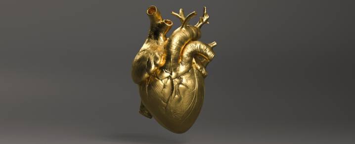 Your Heart Is Vulnerable. These 4 Things Will Help You Protect It.