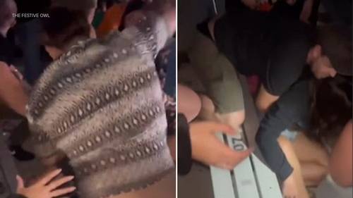 Pasadena police arrest man seen on video knocking woman unconscious during Rüfüs Du Sol concert at the Rose Bowl