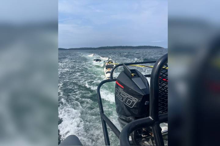 RCMP help rescue 12 kayakers in distress near B.C.