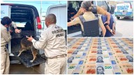 ¿Haces esto a tu perro? Pueden quitártelo, arrestarte o multarte