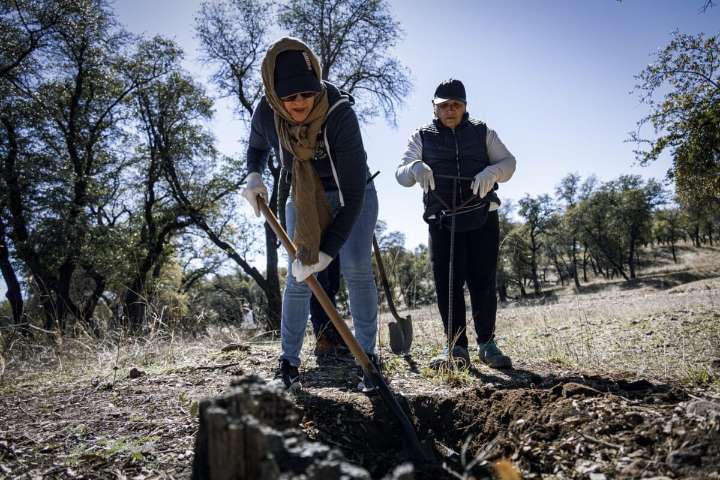 La Gallera, fosa clandestina ligada a “El Pozolero”, podría ser exhumada en 2026
