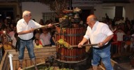 Montilla se prepara para la 70 Fiesta de la Vendimia: fechas y agenda completa
