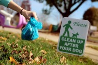 White Dog Poop Was Real – Here’s Why It Vanished