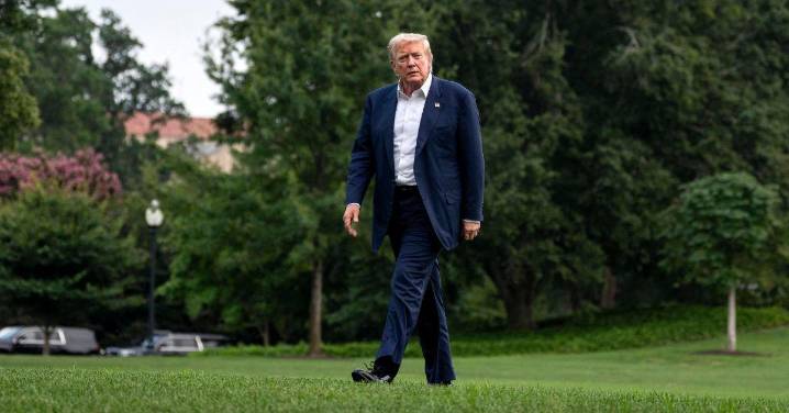 Has Donald Trump 'Lost His Mind?': President Trolled After 'Bizarre' Rant About Being a 'Grass' Expert: Watch