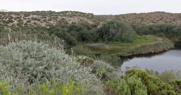 Register now for Kathleen Goddard Jones birthday hike, led by Dunes Center docent