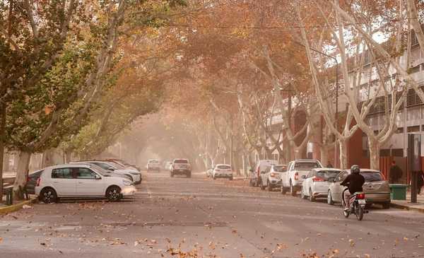 ¿Se va el viento zonda? Esto dice el pronóstico del tiempo