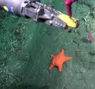 La estrella midió más que cualquier político, la influencia de la IA en la política y cuando los drones son una buena noticia