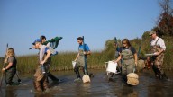 Could student research at LSSU change oil spill response?