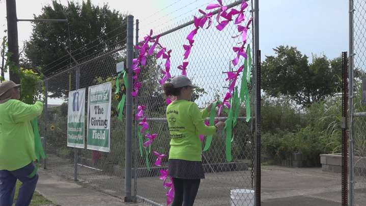 Southeast Texas community invited to donate their bows for Mary Grace Baker memorial art project