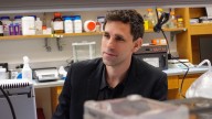 Del veneno a la cura: César de la Fuente y la inteligencia artificial que rastrea antibióticos en toxinas animales