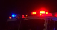 Dog's quest for banana bread accidentally starts house fire in Derby