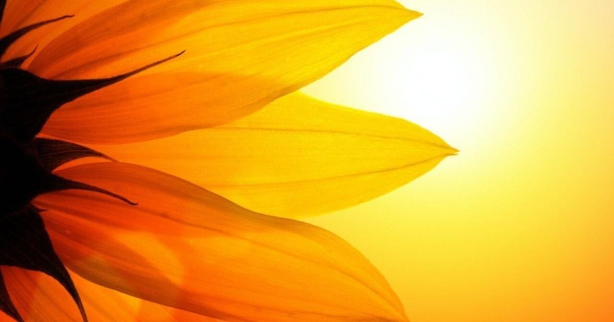 Hottest months in Connecticut since 1895