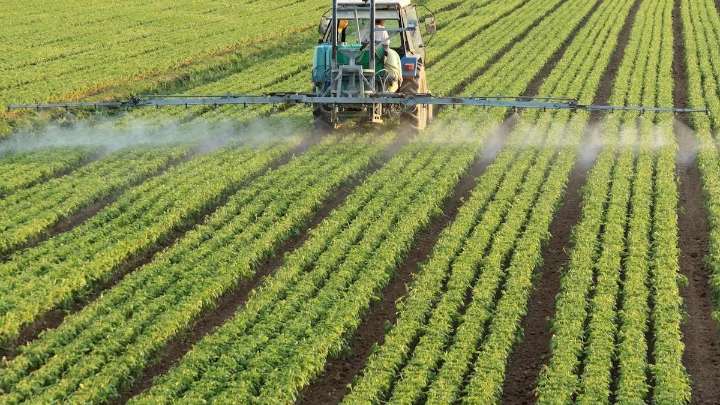Alertan que la lucha contra el exceso de nitrógeno en Europa podría estar equivocada