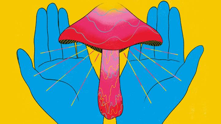 High priests: why scientists gave magic mushrooms to the clergy