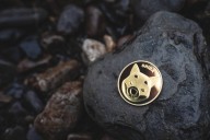 Bybit Exchange Unveils Massive Shiba Inu Balances In The Trillions As Price Tanks