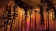 Rural counties in Utah demand better forest management to ward off wildfires