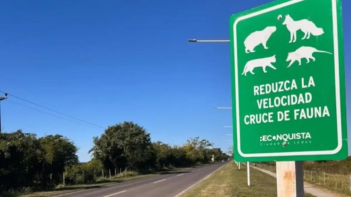 Presentaron en Santa Fe el primer mapa de atropellamientos de fauna: los cinco tramos críticos prioritarios