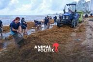 Sargazo en el Caribe supera 50 millones de toneladas; acuerdan plan regional para atenderlo