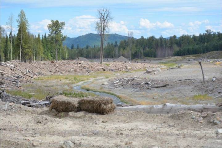 Union of B.C. Indian Chiefs calls for clarity after Mount Polley decision