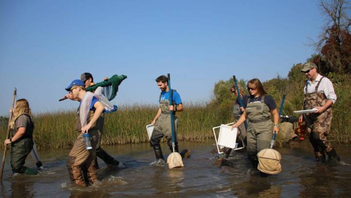 Could student research at LSSU change oil spill response?